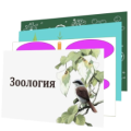 7.2. Модели-аппликации по Зоологии